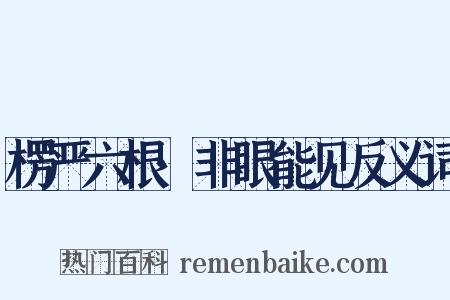 楞严六根·非眼能见反义词是什么意思的图片